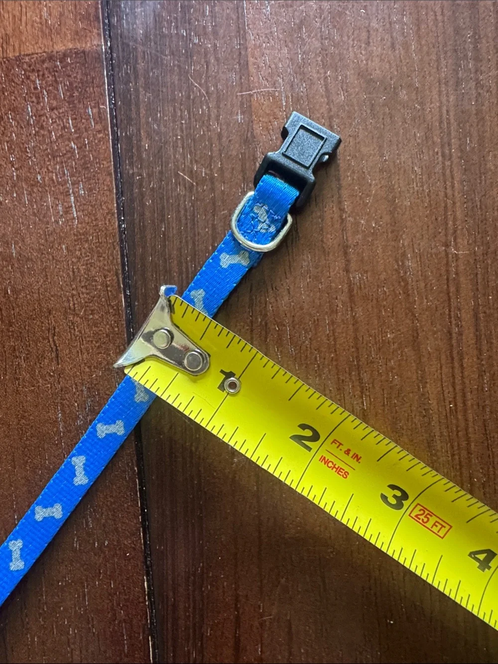 Xtra small Blue Nylon adjustable dog Collar with gray bone Accents
